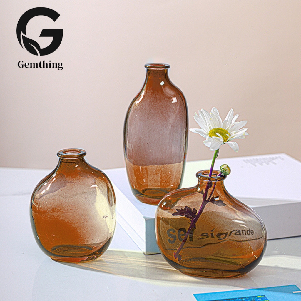 Irregular glass vase hydroponic green plant home decoration living room flower arrangement ornament