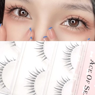 3 Pairs Natural Thick False Eyelashes Big Eye Daily Eye Beginner Eyelash Extension Handmade Makeup Manga Lashes