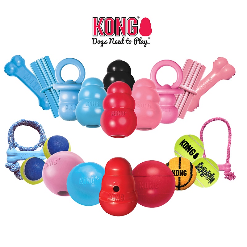 why are kong toys good for dogs