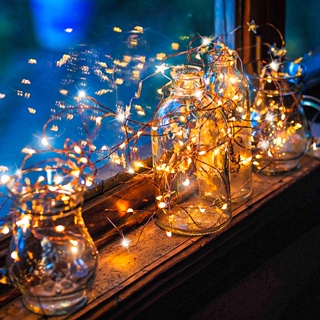 1M 2M 3M 5M LEDs Fairy Lights / Battery Powered (CR2032) Copper Wire Starry Fairy Lights / Indoor Outdoor Waterproof String Lights / Decoration Night Light Perfect For Bedroom,Christmas,Ramadan,New Year,Parties,Wedding,Birthday,Kids Room,Patio,Window #5