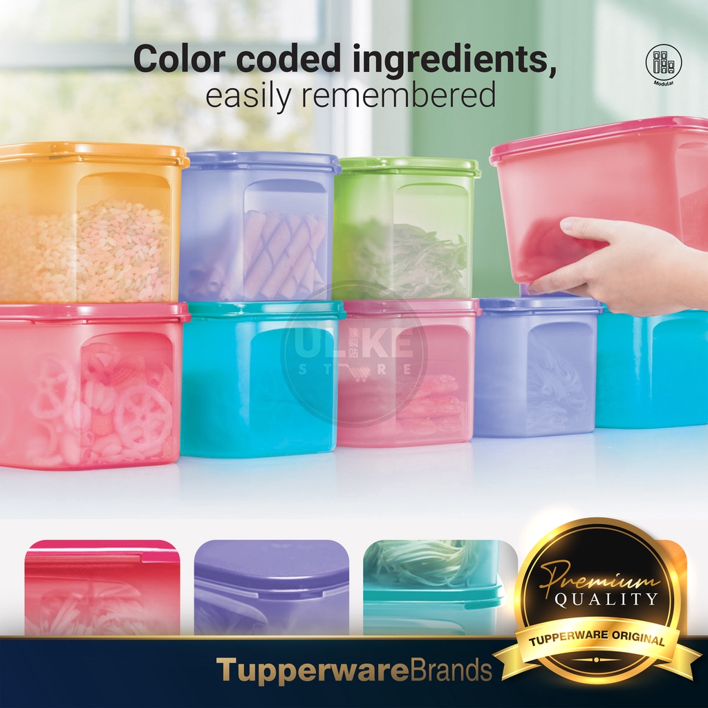 Tupperware Modular Mates Mini Rectangular II (2 units) Container Food