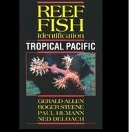Reef FISH identification tropical pacific