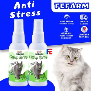 Catnip SPRAY 30ml - Catnip Catnip Liquid Cat Mint Stress Relief Cat Cats Cats Antem