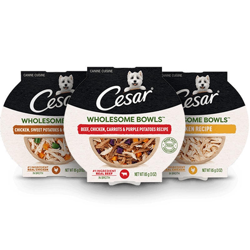 Cesar Wholesome Bowls Dog Food Cesar Wholesome Bowls Wet Dog Food Toppers, 3 Oz, 6 Pack