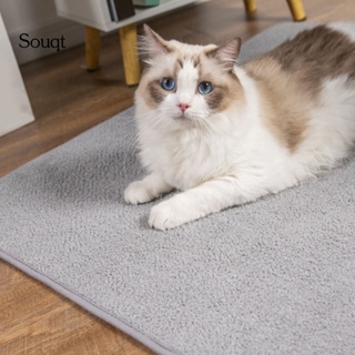 Souqt Scratch-resistant Dog Mat for Floor Puppy Cat Warm  Cushion Pad Bite Resistant #1