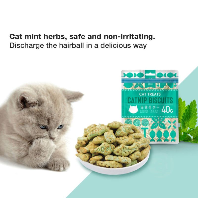 Catnip Biscuits Cat Treat (40g) Shopee Singapore