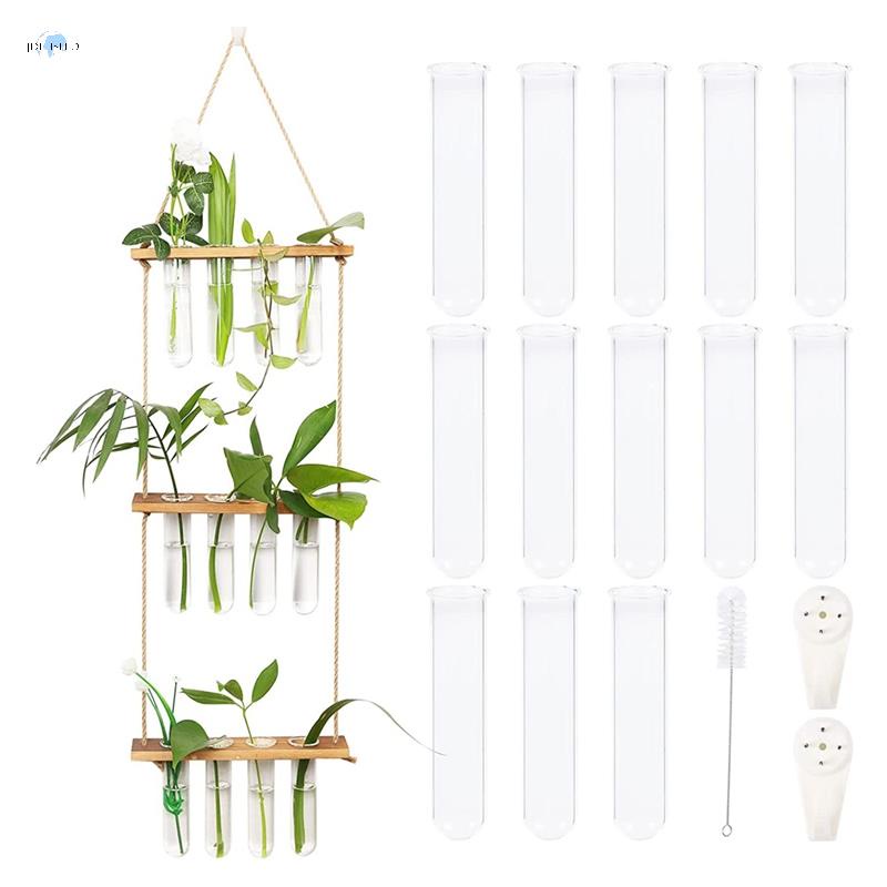Wall Hanging Planter Glass Terrarium 3 Tiered Plant Propagate Station