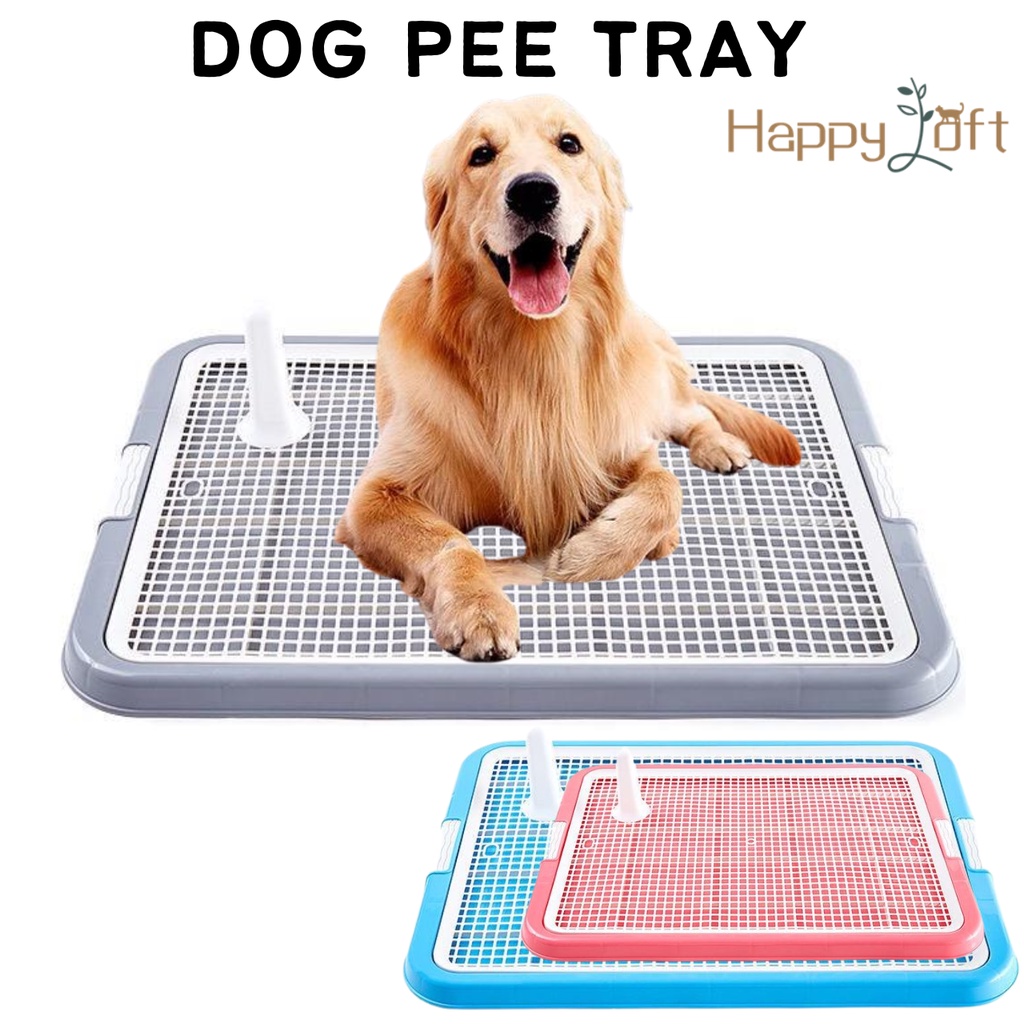 [SG SELLER] Dog Pee Tray Dog Potty Tray Portable Dog Pee Pad Dogs Puppy