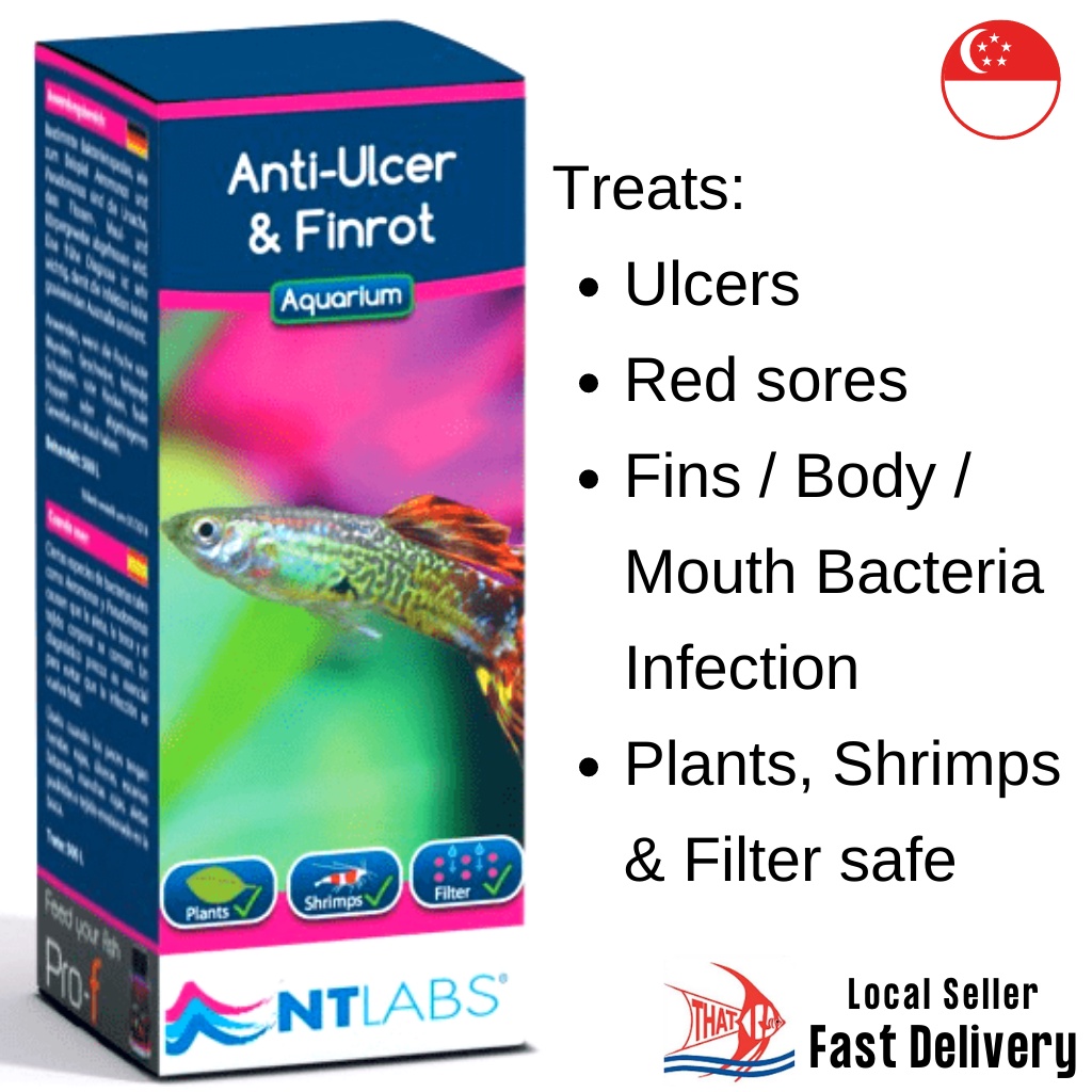 NT Labs AntiUlcer & Finrot Medication 100ml for Ulcers, Bacteria