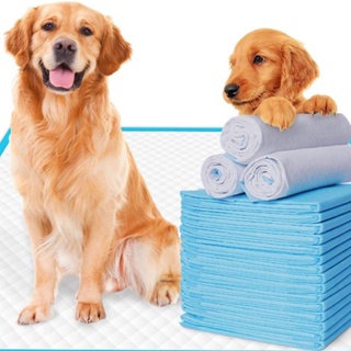 The Furniture Store Absorbent Pee Pad Dog Pee Pad Training Pads Disposable Cat Pet Diapers Cage Mat Supply Accessories
