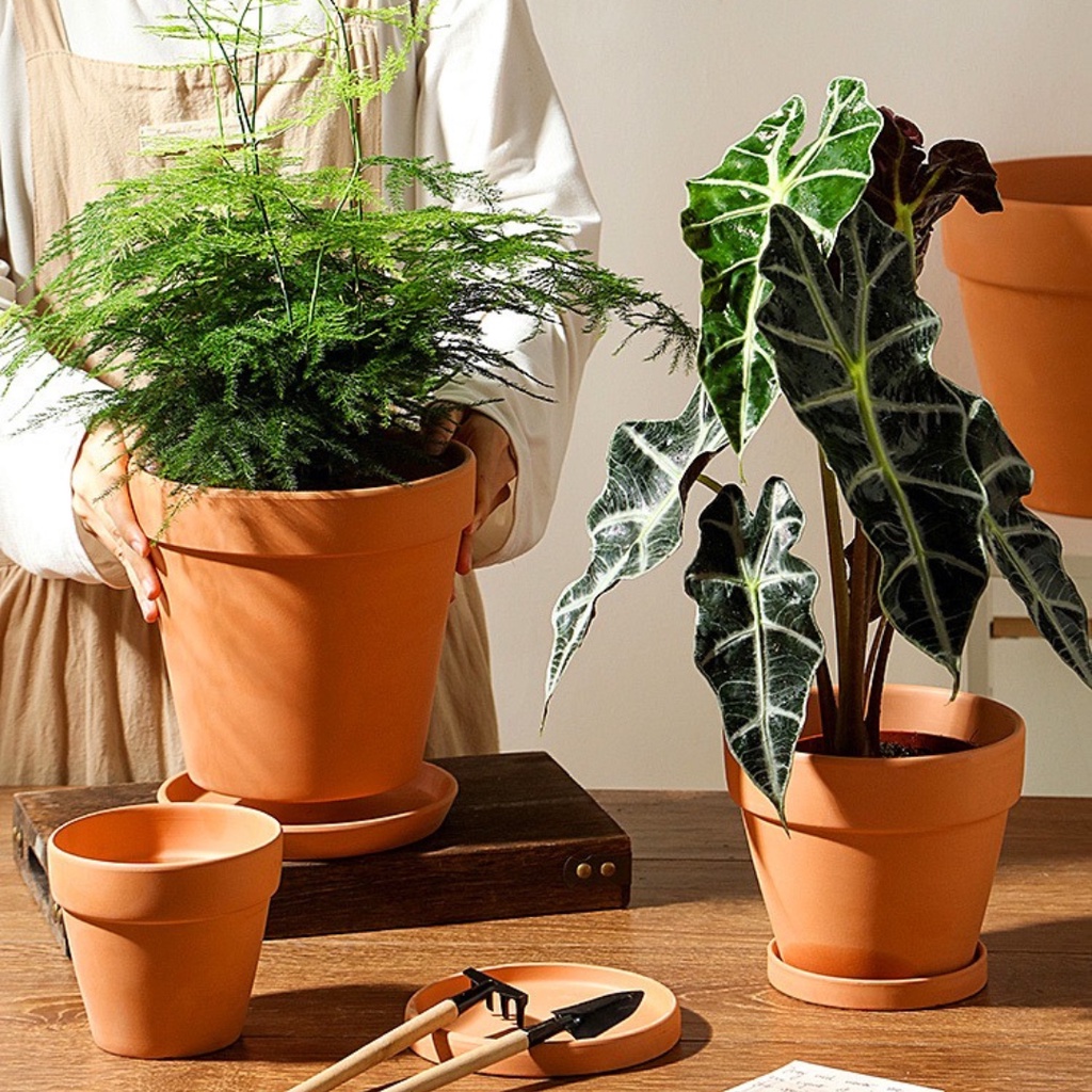 Bundle Set Terracotta Pottery Pots Red Pottery Pot Porous Flower