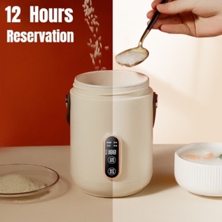 900ml Mini Multifunctional Electric Cooker Stew Pot Portable Smart Slow Cookers Stewing Porridge Soup With Appointment for 1-2 People