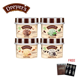 Dreyer's Ice Cream: Buy 4 x 800ml and Get Dreyer's Metal Spoon Set FREE! Pack in Cooler Bag