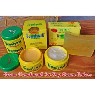 % Temulawak Day and Night CREAM SET With Soap Skincare