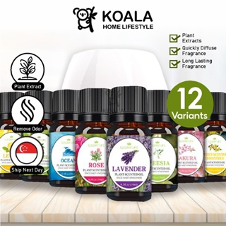 🇸🇬5.25LOWEST🔥 Koala Home Humidifier Essential Oil for diffuser 10ml Essential Oil Scented Oil Water soluble Oil