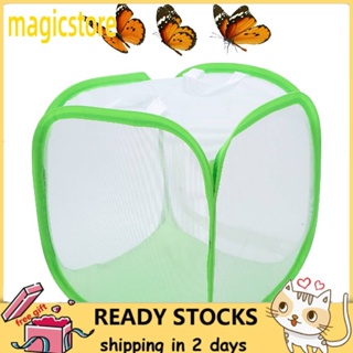 Folding Mesh Insect Cage Enclosure Net Breeding Housing Pet Supplies #0