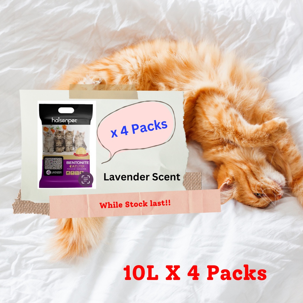 Haisen Pet Bentonite Clay Cat Litter 10L Bag Lavender Scent (4 Packs