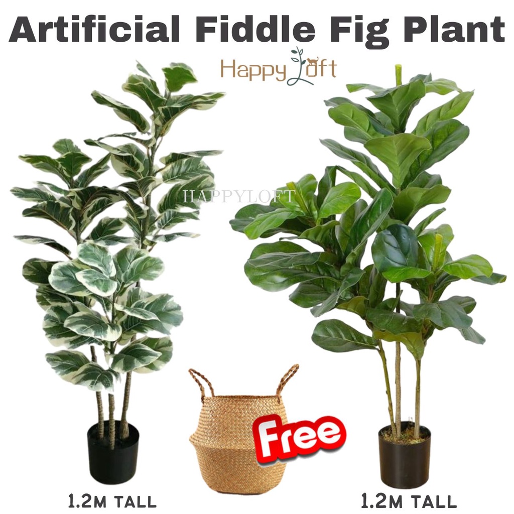 [SG SELLER] Artificial Plant Fiddle Leaf Fake Fig Tree Faux Potted