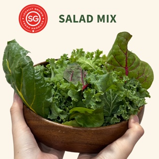 [Farm Fresh] Locally Grown Salad Mix (Pesticide & GMO Free)