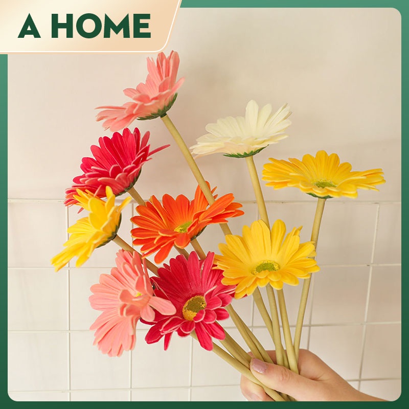 gerbera daisy - Prices and Deals - Feb 2023 | Shopee Singapore