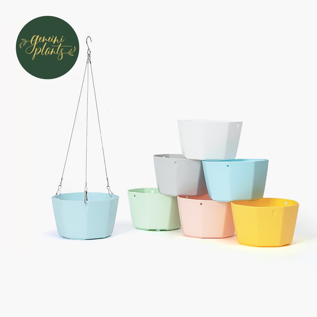 Gemini Plants Octagonal Plastic Hanging Flower Pot Hanging Plant Pot