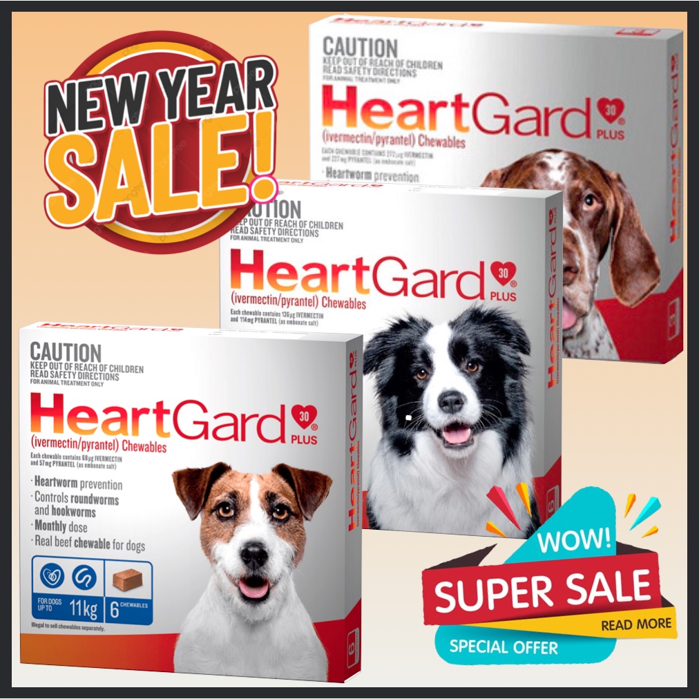 Is Heartgard Plus Safe For Dogs