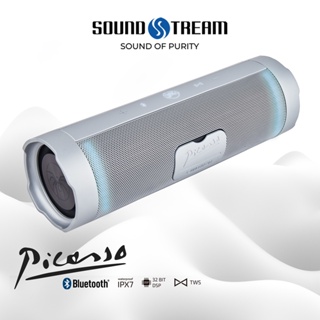 Picasso By Soundstream (USA) - Style Meets Sound