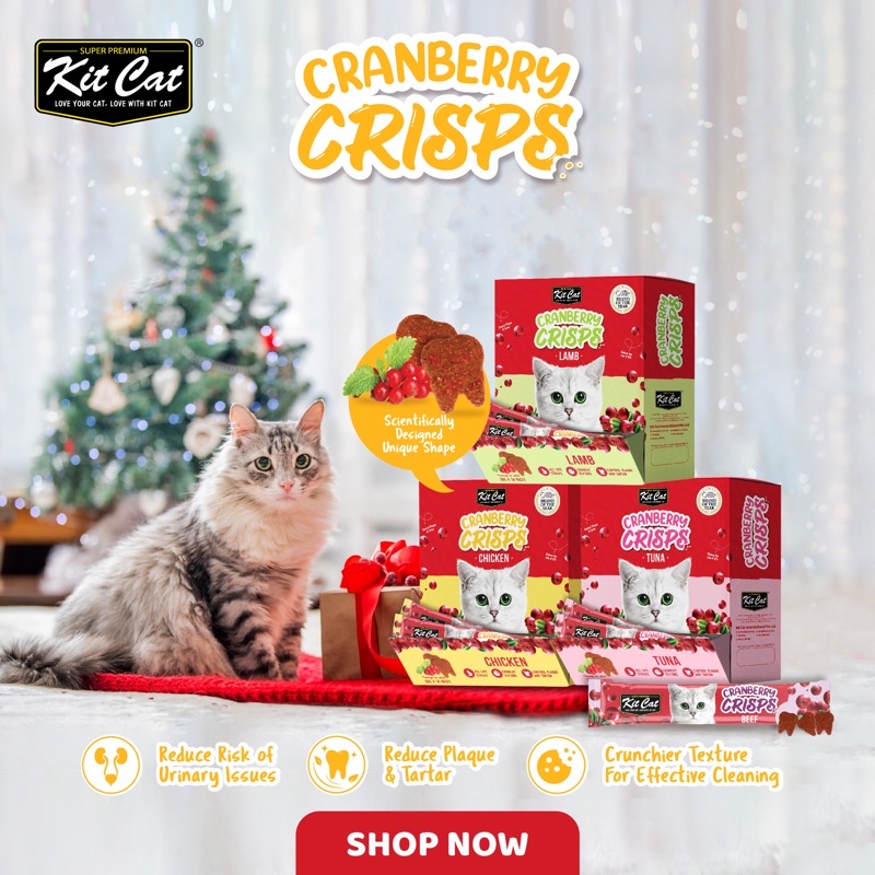 Kit Cat Cranberry Crisps Cat Treats (20g/sachet) Shopee Singapore