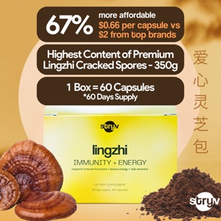 [Best Selling, Made in SG] 500 MG Lingzhi Immunity + Energy [1 Box = 60 Capsules] from  STRYV™