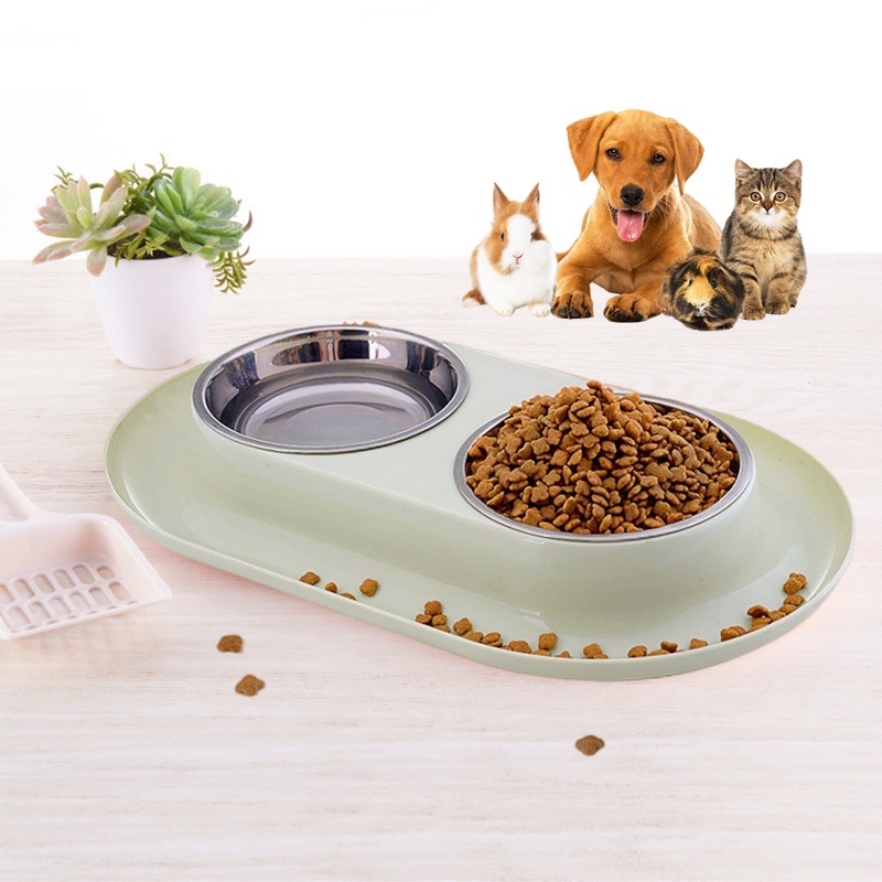 Does Dog Food Attract Ants