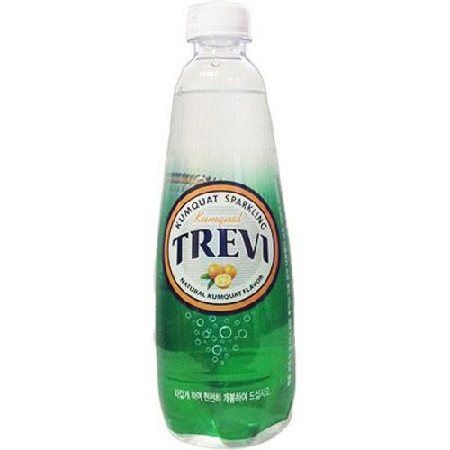 Lotte Chilsung Trevi Sparkling Water Orange Kumquat 500ml Shopee Singapore