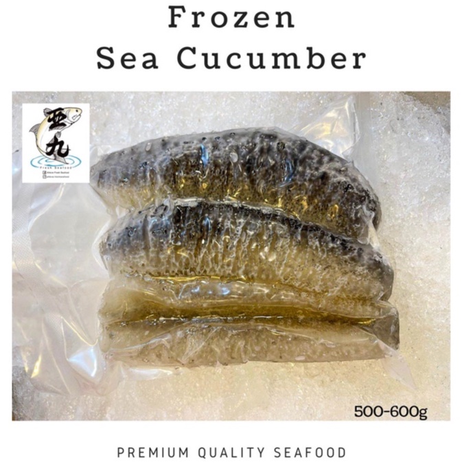 [Ah Kow Fresh Seafood] Frozen Sea Cucumber 500 600g Shopee Singapore