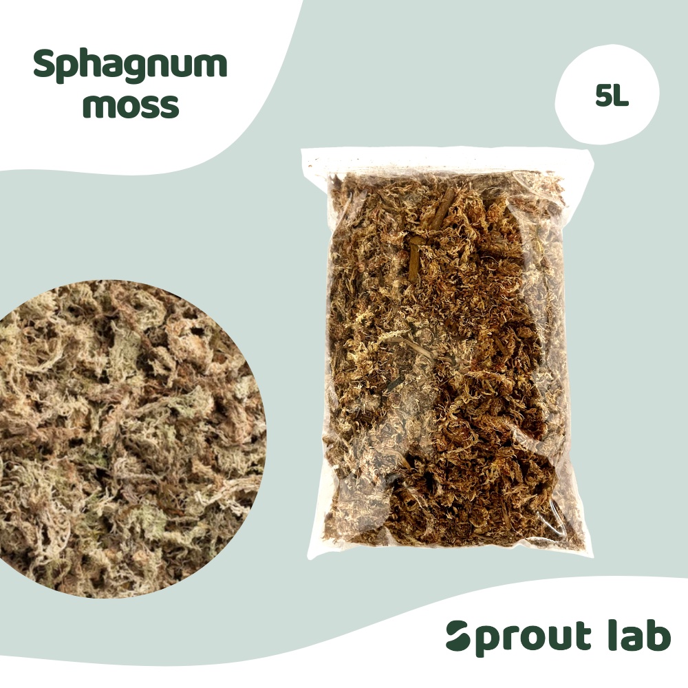Sprout lab Premium Sphagnum Moss 5L Growing Medium Philodendron