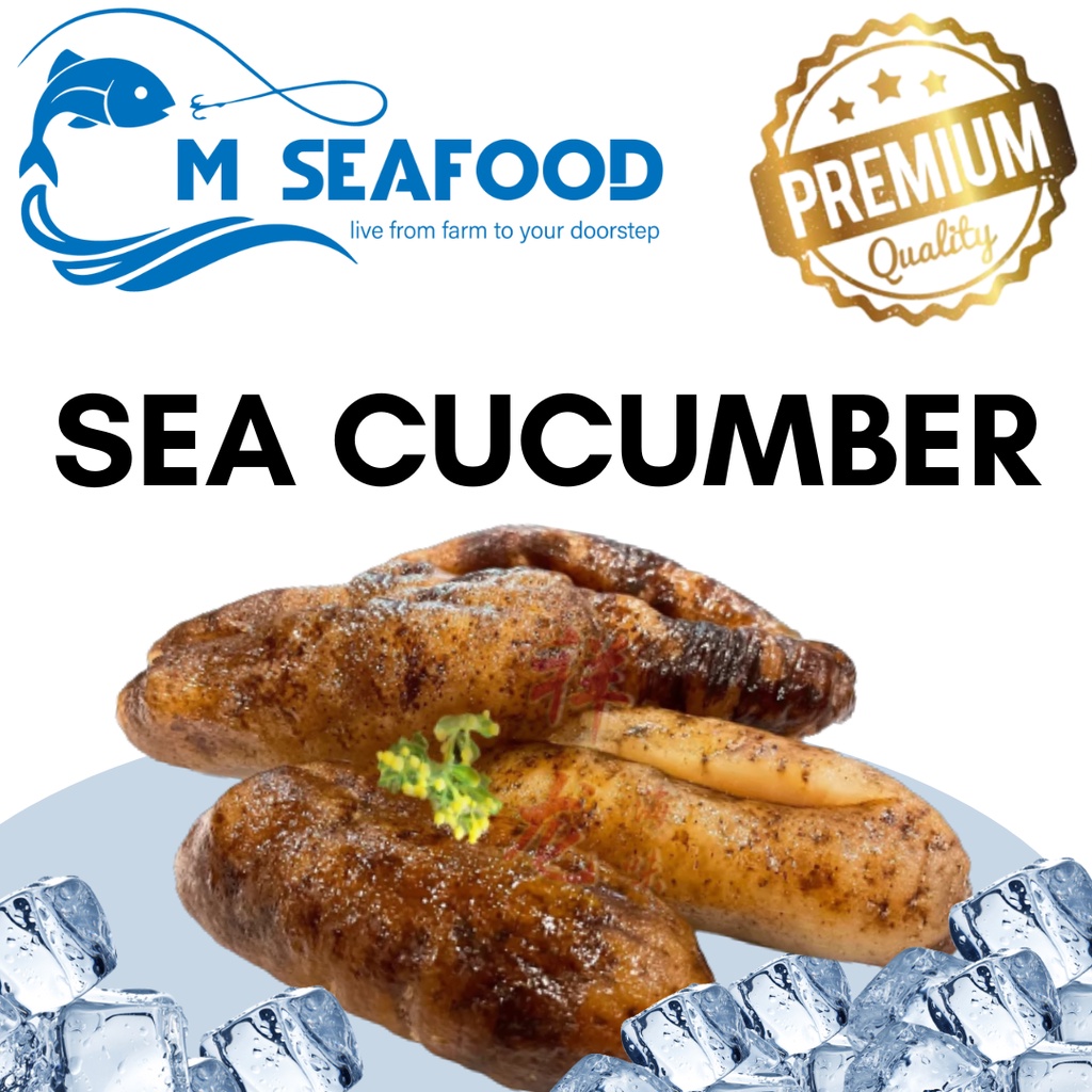 MSeafood Sea Cucumber 1kg Shopee Singapore