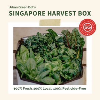 [Farm Fresh] SG Fresh Harvest Vegetable Box (Pesticide & GMO Free)