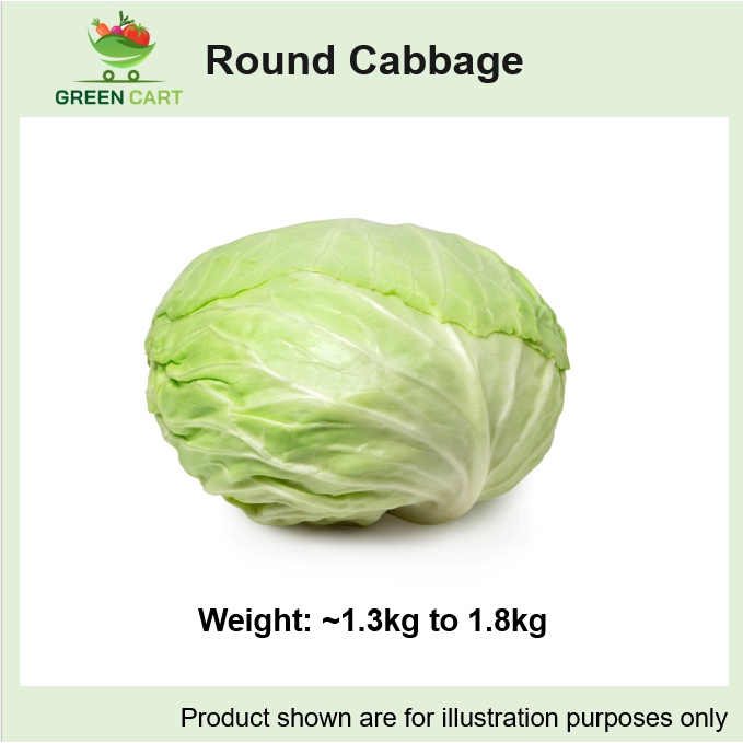 cabbage Prices and Deals Feb 2023 Shopee Singapore