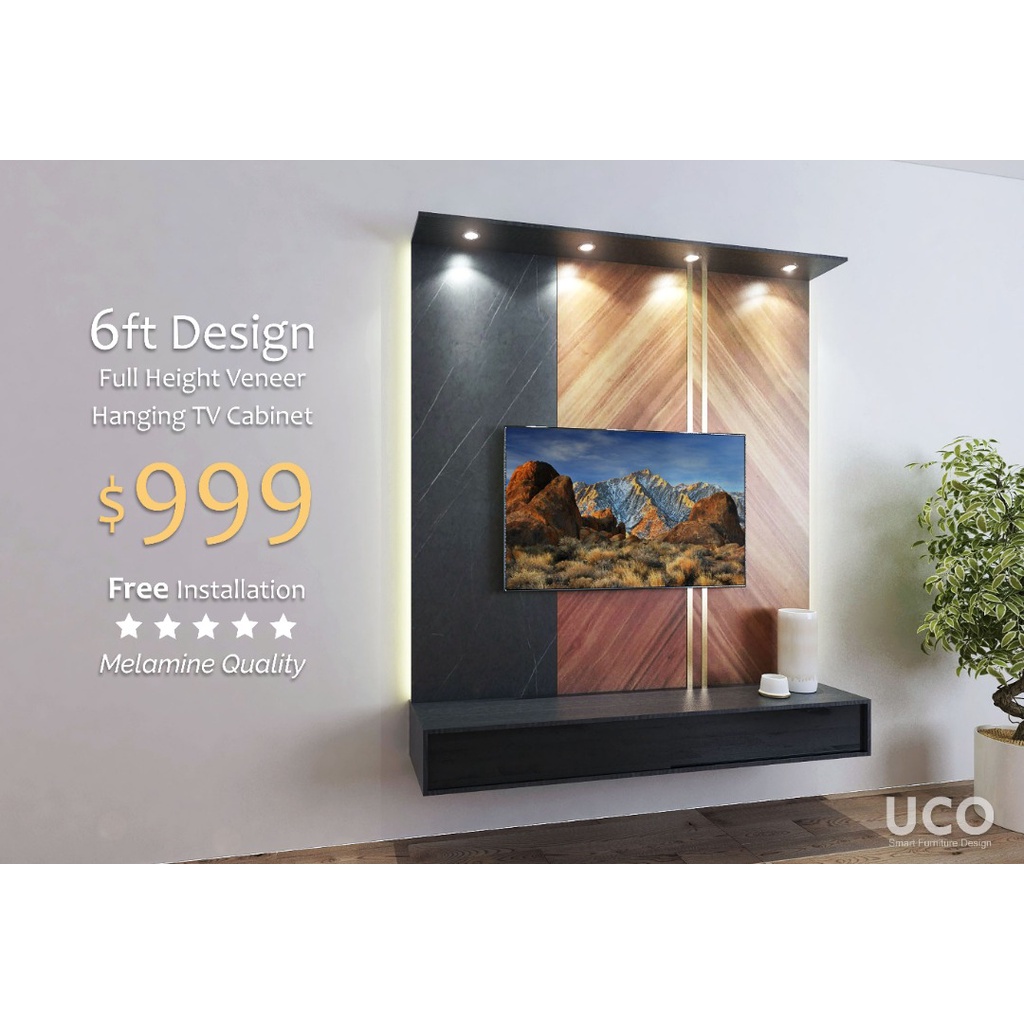 6FT FULL HEIGHT VANEER HANGING TV Shopee Singapore