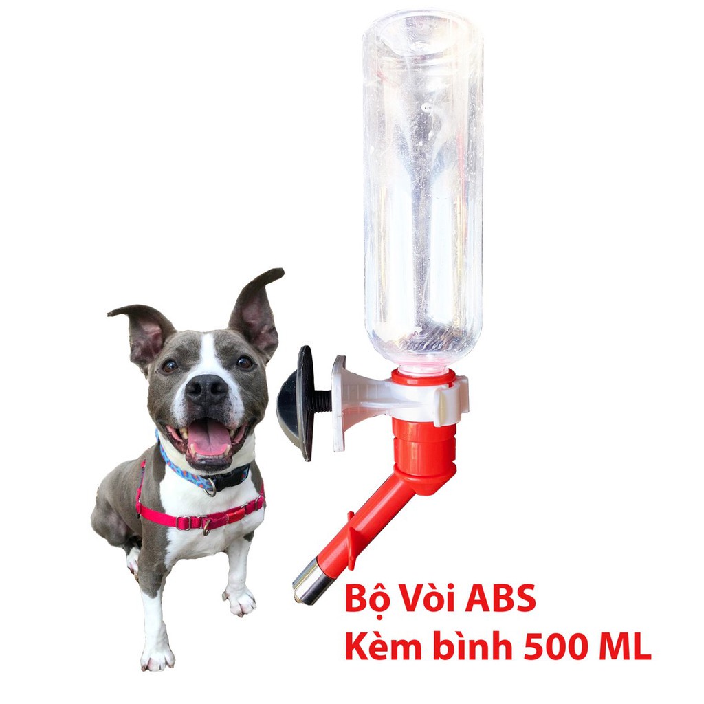 bg