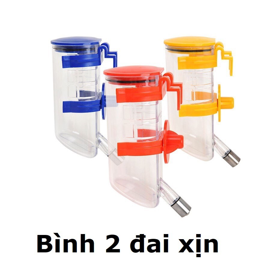 bg