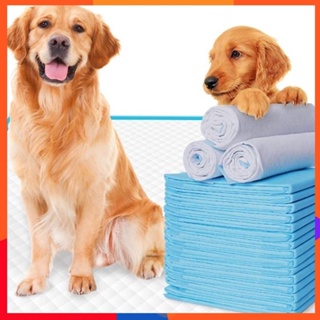 【IN Stock】Absorbent Pee Pad Dog Pee Pad Training Pads Disposable Cat Pet Diapers Cage Mat Supply Accessories #0