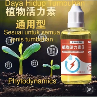 2pcs Plant Growth Enhancer Supplement [Concentrated Magic Solution]