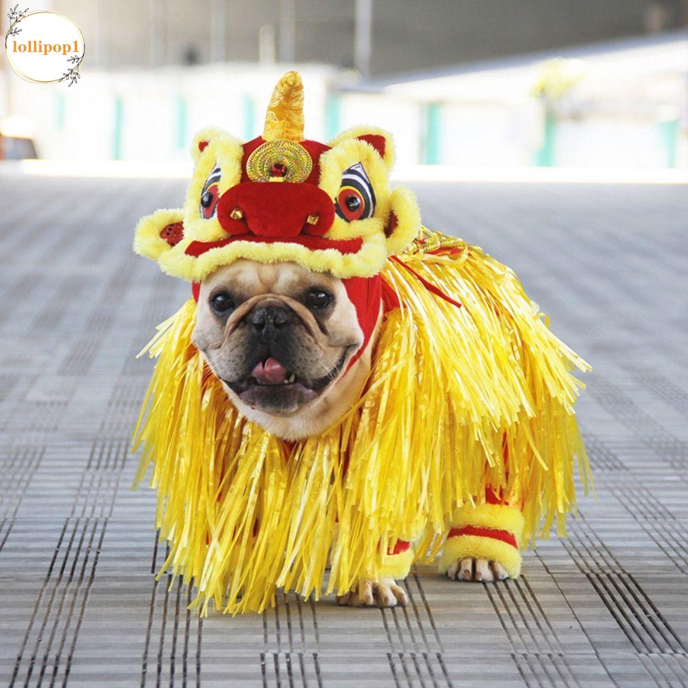 Buy Dog Costume Lion Dance At Sale Prices Online - July 2024 | Shopee  Singapore