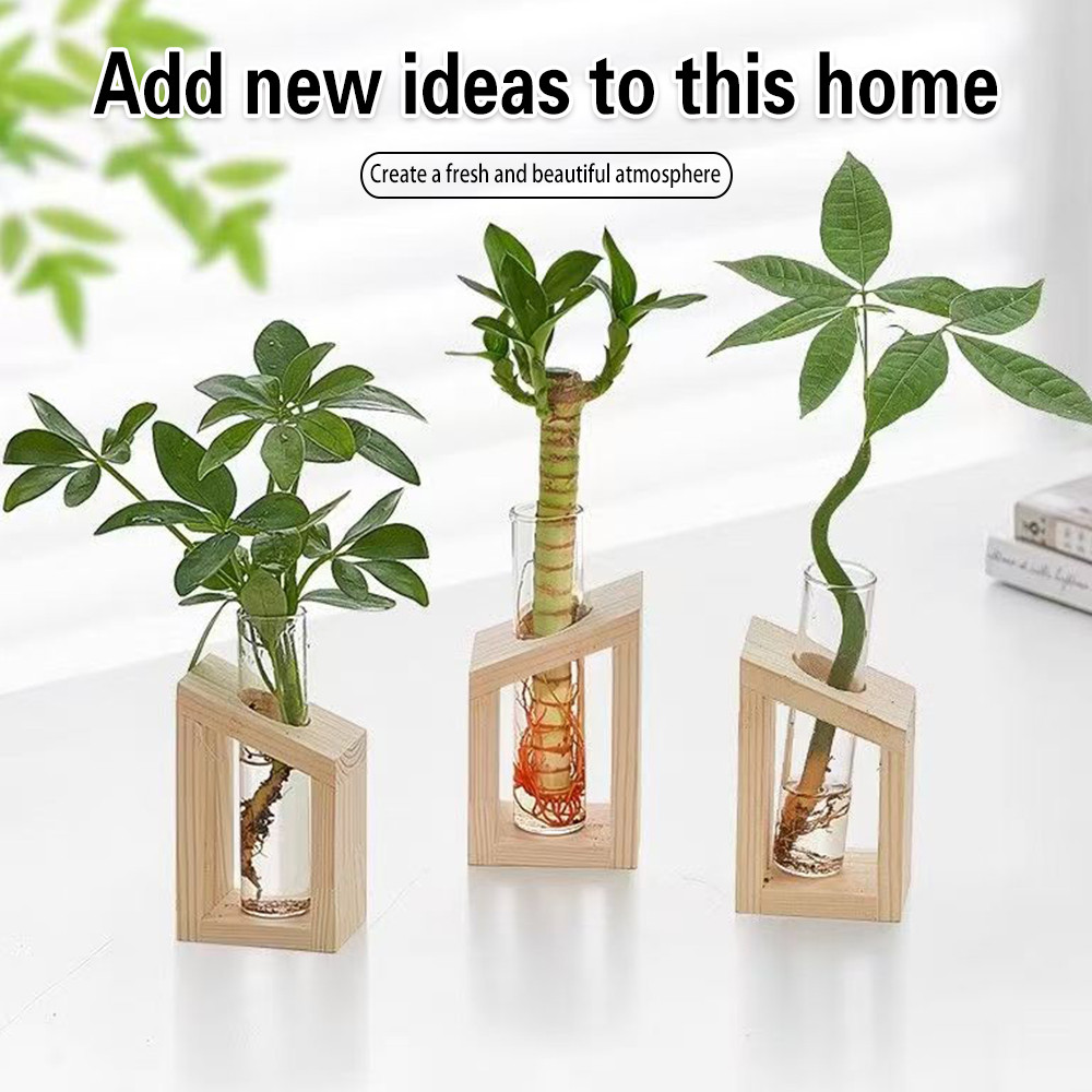 Glass Test Tube Hydroponic Vase with Wooden Base Minimalist Plant Home Decoration
