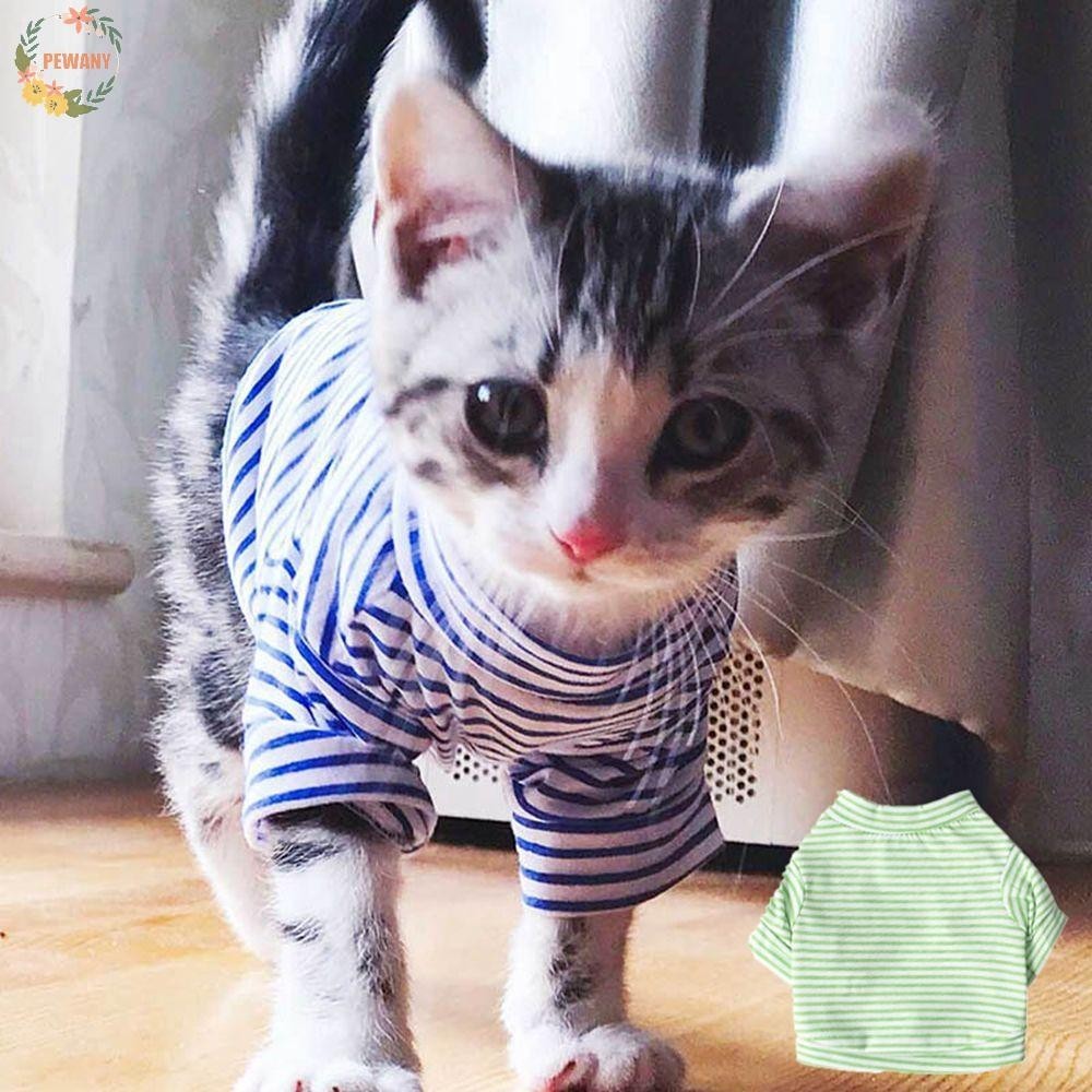 Buy outfit cat At Sale Prices Online November 2024 Shopee Singapore