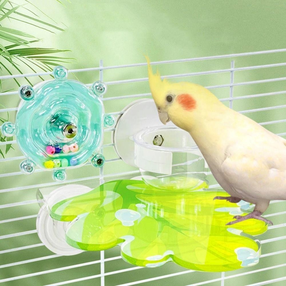 bg