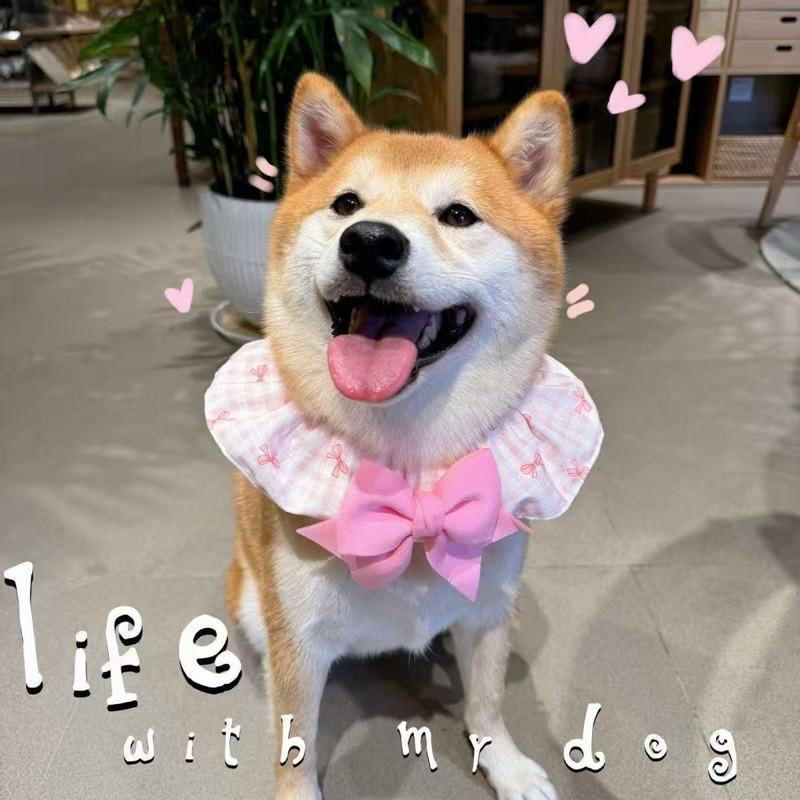 bg
