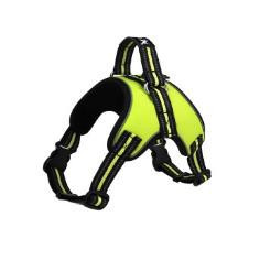 bg