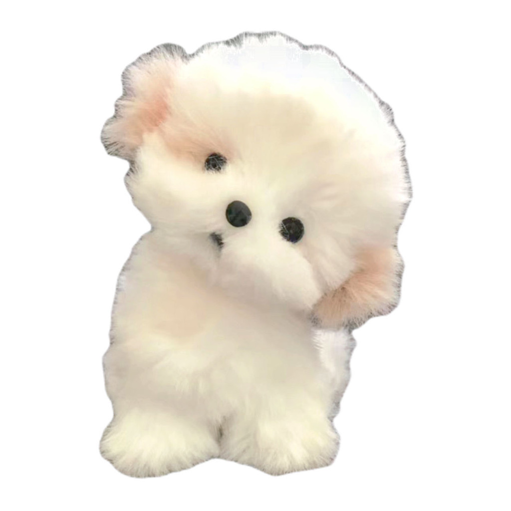 bg