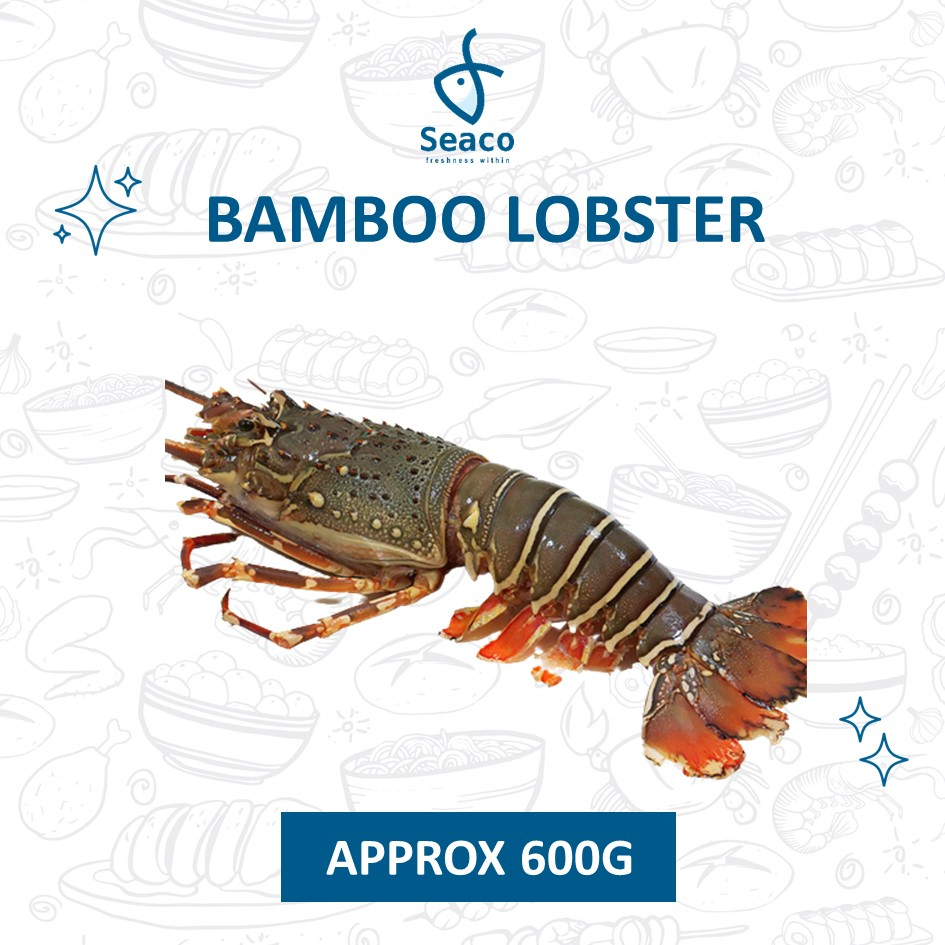 [SEACO] Bamboo Lobster Whole (Approx 600g)