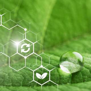 BioSafe4U Reed diffuser base | fragrance & essential oil | aromatherapy 5L #1